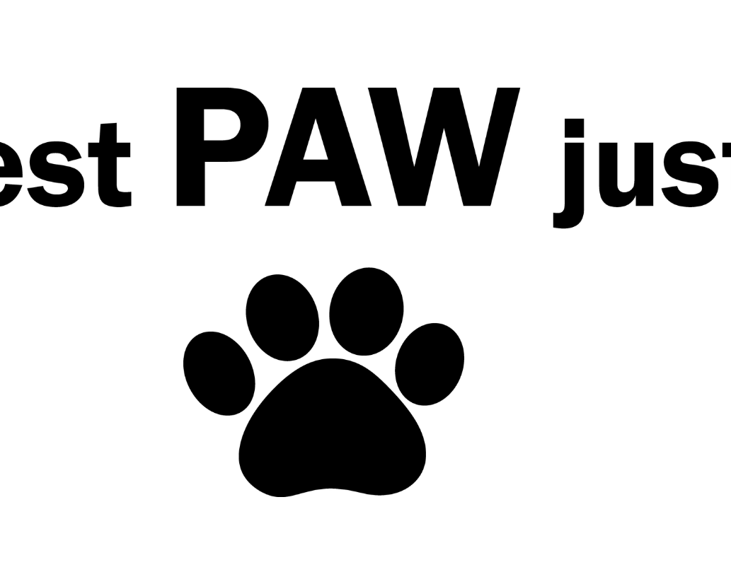 Motif du t-shirt enfant blanc : texte « C’est PAW juste! » et empreinte de patte noirs.